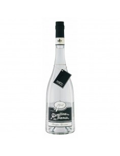 Zanin grappa cl70 giovane cavallina