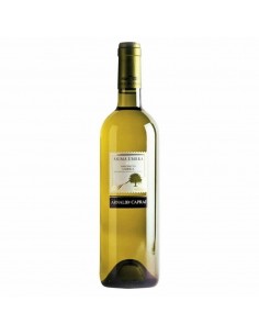 Arnaldo caprai cl75 anima umbra grechetto