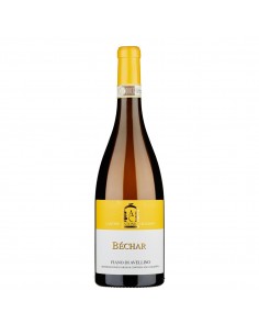 Caggiano fiano cl75 bechar
