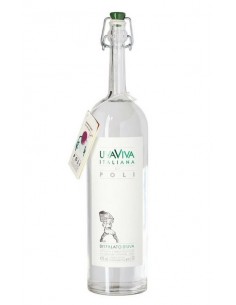 Poli grappa cl70 uvaviva