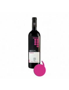 Vini del principe piedirosso cl.75