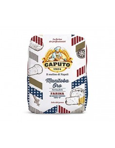 Caputo farina kg5 americana manitoba oro