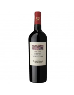 Terredora aglianico cl75 corte di giso