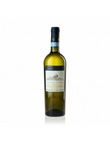 La fortezza falanghina del sannio taburno doc cl75
