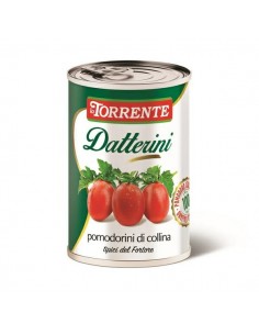 La torrente datterini gr400