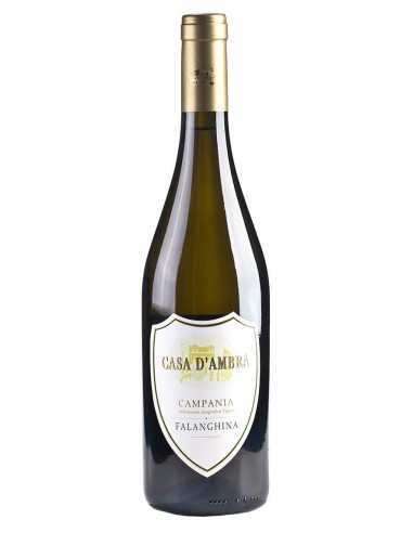 Casa d ambra vino cl75 falanghina