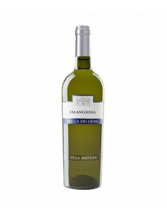 Villa matilde cl75 falanghina rocca dei leoni