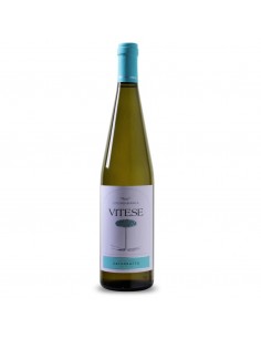 Vitese catarratto cl75 bio