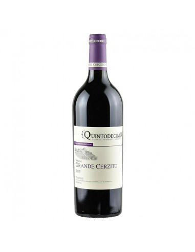 Quintodecimo cl75 taurasi riserva vigna