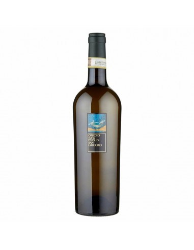Feudi s.gregorio cl75 greco di tufo