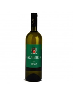Moio falanghina cl75