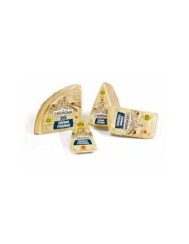 Plac grana padano gr900 dop 15 mesi