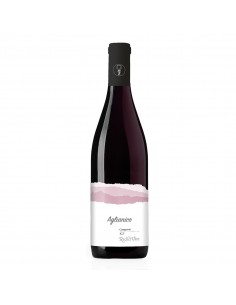 Radici vive cl.75 aglianico