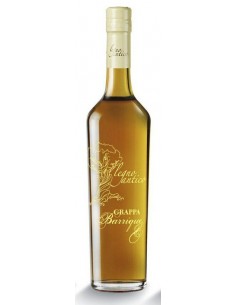 Grappa legno antico barr.cl150