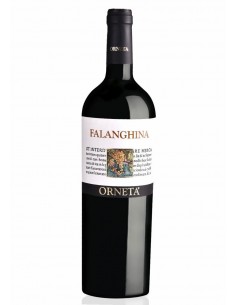 Orneta falanghina cl.75