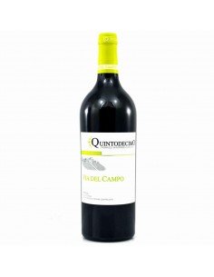 Quintodecimo cl75 falanghina via del campo