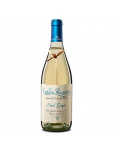 Zaccagnini tralcetto cl75 pinot grigio