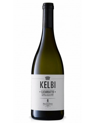 Pellegrino kelbi cl75 catarratto