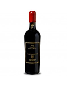Louis plantevigne saint emilion grand cru 2005 ast.cl.75