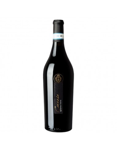 Cantina solopaca cl75 aglianico carrese ris.