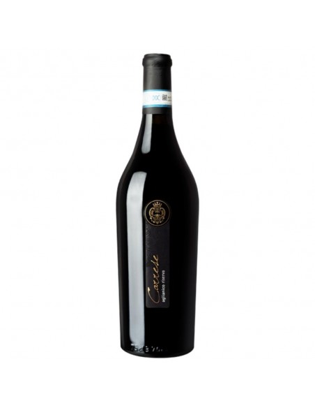Cantina solopaca cl75 aglianico carrese ris.