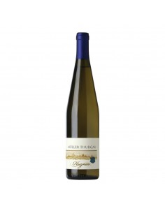 Huznar muller thurgau cl75