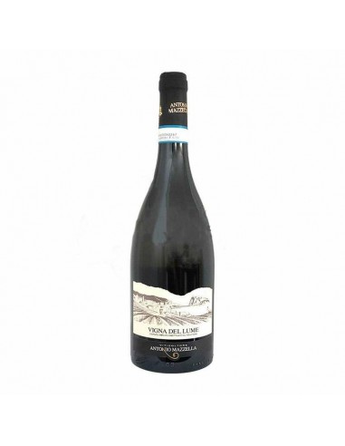 Antonio mazzella vigna del lume cl75