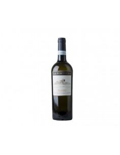 La fortezza fiano sannio cl75