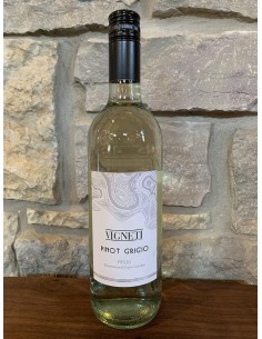 Vigneti pinot grigio cl150 glunz 2020
