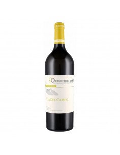 Quintodecimo cl150 falanghina via del campo