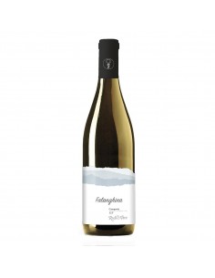 Radici vive cl.75 falanghina