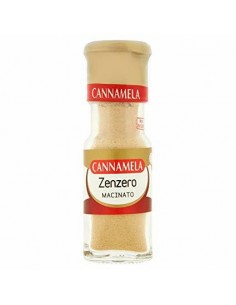 Serieoro zenzero gr20 macinato
