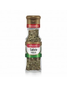 Serieoro salvia gr8 foglie