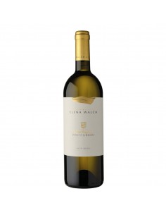 Elena walch cl75 pinot grigio doc c.ringberg