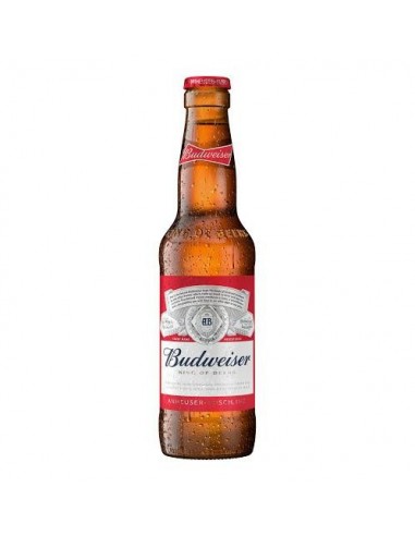 Birra budweiser cl33x24