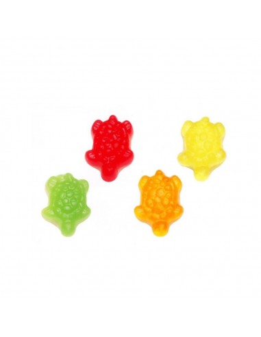 Rossini s tartaruga kg3 bicolore