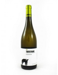 San salvatore cl75 fiano igp trentenare