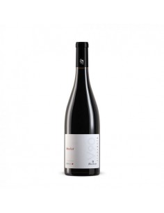 Brugnano vino cl75 merlot