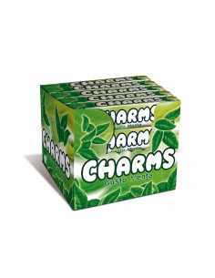 Charms menta pz20