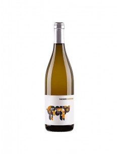 San salvatore porconero cl75 falanghina