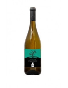Patera falanghina campi flegrei cl.75