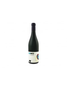 San salvatore cl75 aglianico igt gillo