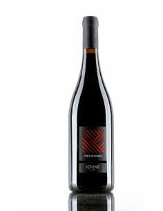Iovine piedirosso cl75 campania
