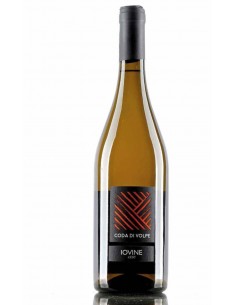 Iovine coda di volpe cl75 campania