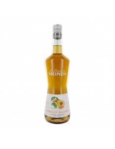 Monin liquore cl70 apricot brandy