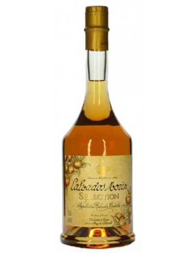 Calvados brandy cl70 morin selection