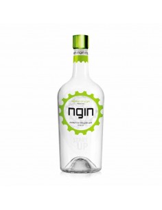 Gin ngin-london dry cl100 38%