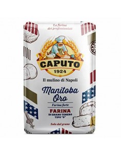 Caputo farina kg1 americana manitoba oro