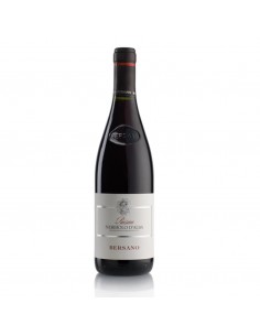 Bersano paisan nebbiolo d alba cl75