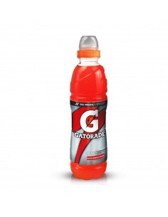 Gatorade arancia rossa cl.50x12